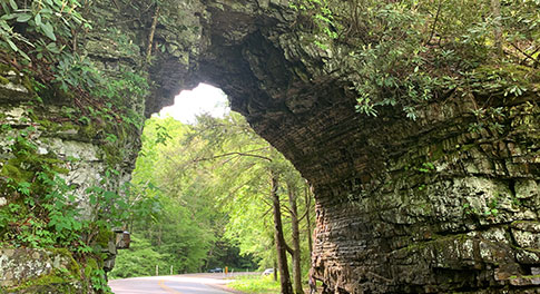 hike_backbone